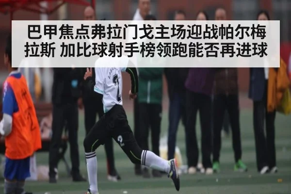 巴甲焦点弗拉门戈主场迎战帕尔梅拉斯 加比球射手榜领跑能否再进球